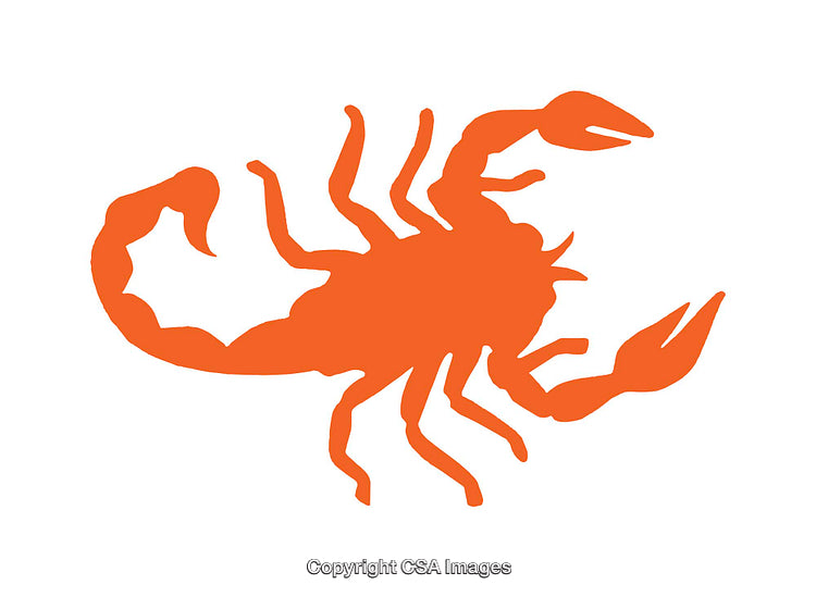 Orange Silhouette of a Scorpion on a Clean White Background