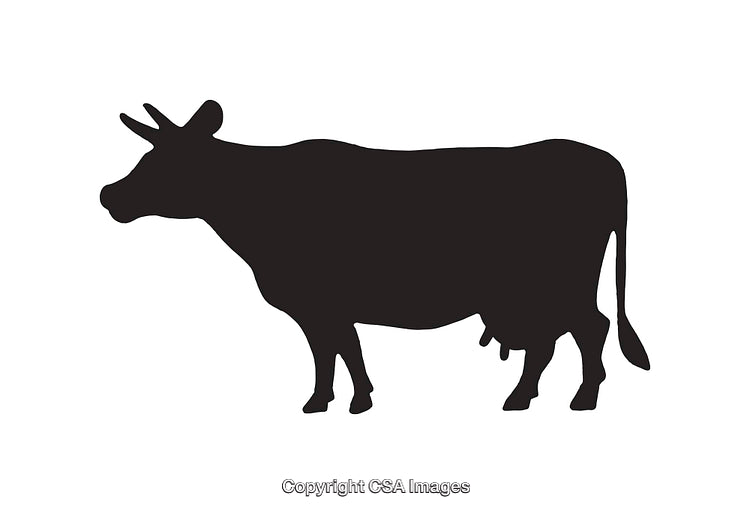 Silhouette Drawing of a Cow in Simple Monochrome Style