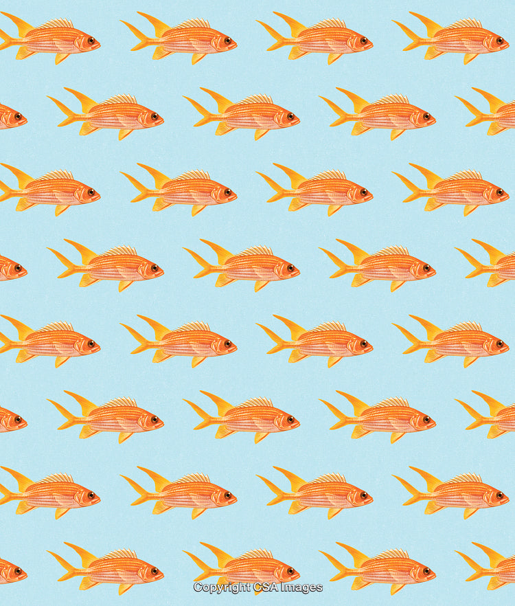 Goldfish Pattern