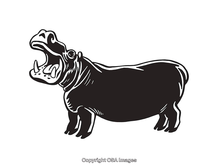 Black and White Line Art Illustration of a Hippopotamus