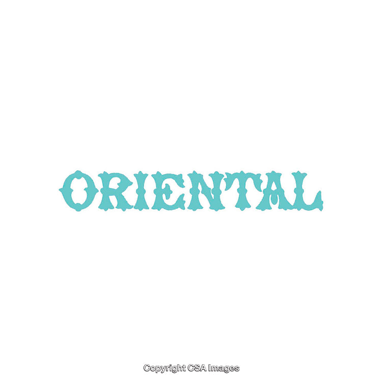 Single Word Graphic with Bold Ornamental Font Design in Blue