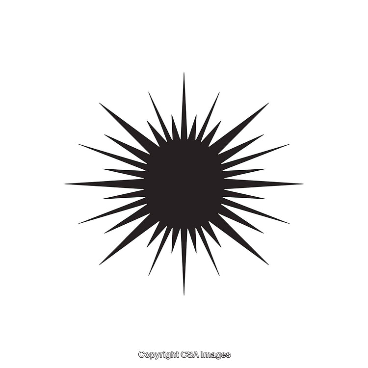 Black Starburst Shape with Sharp Spiked Rays on White Background