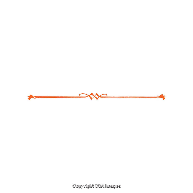 Elegant Orange Decorative Border With Floral and Symmetrical Patterns