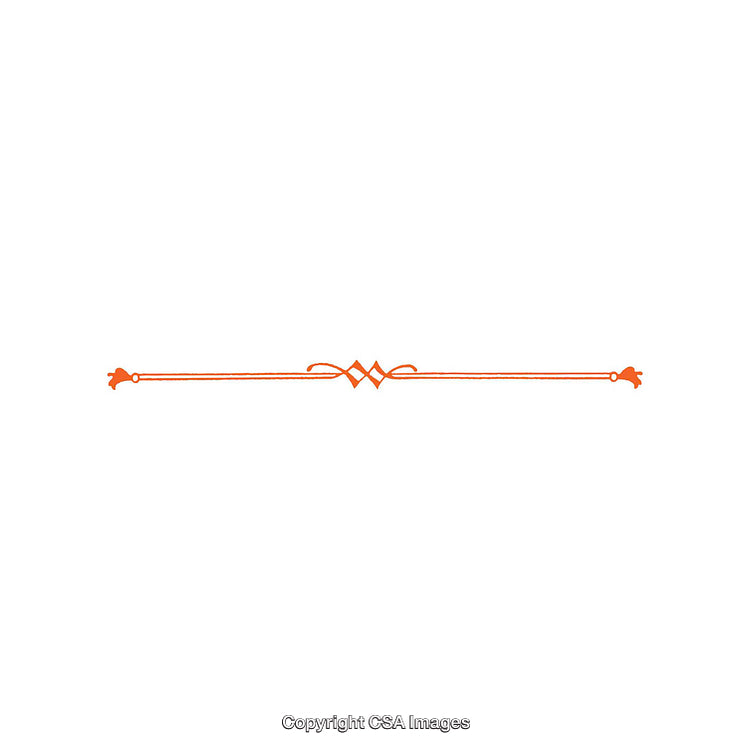 Elegant Orange Decorative Border With Floral and Symmetrical Patterns