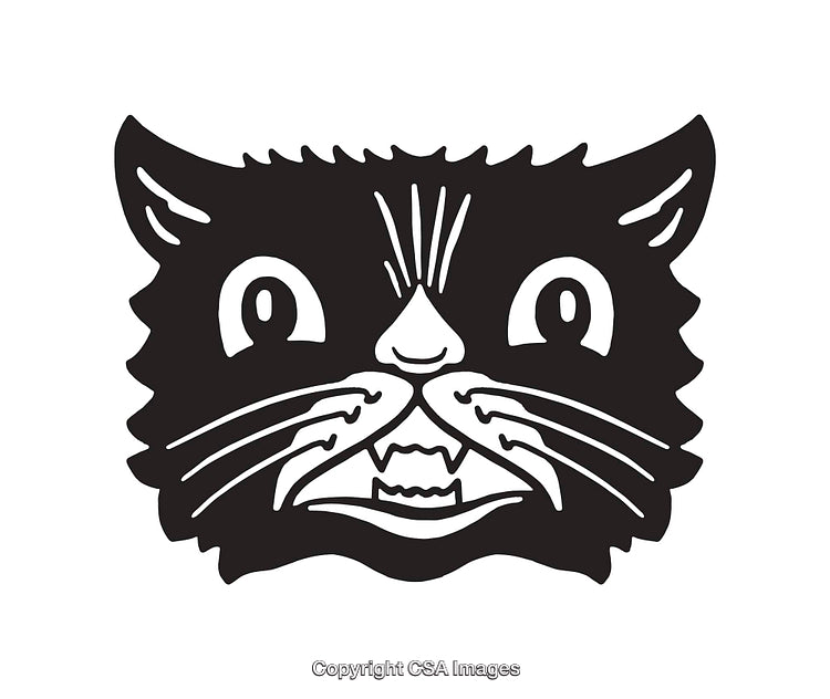 Black and White Illustration of a Cat Face with Intense Expression