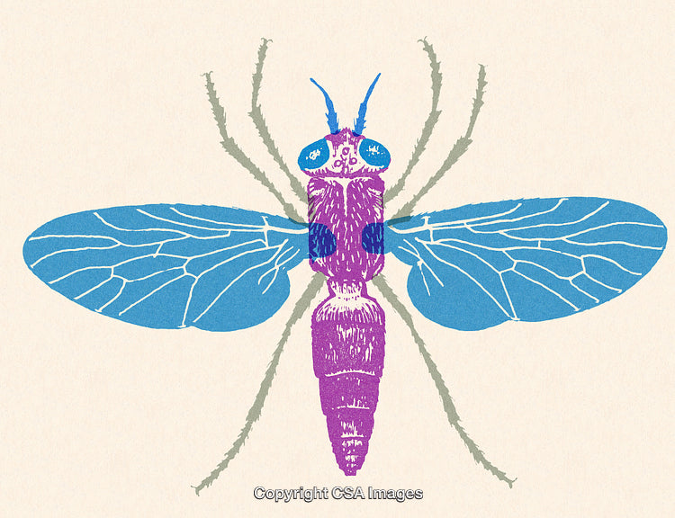 Colorful Illustration of an Insect with Blue Wings on Neutral Background