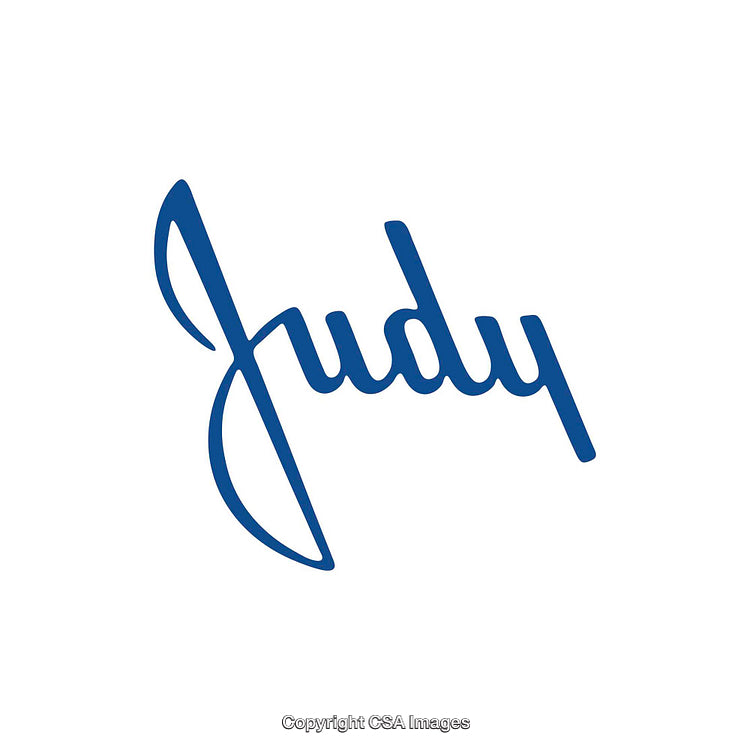 Minimalist Blue Cursive Text Logo on White Background