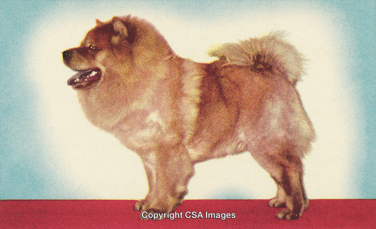 Vintage Styled Illustration of a Dog with Retro Dot Screen Effect