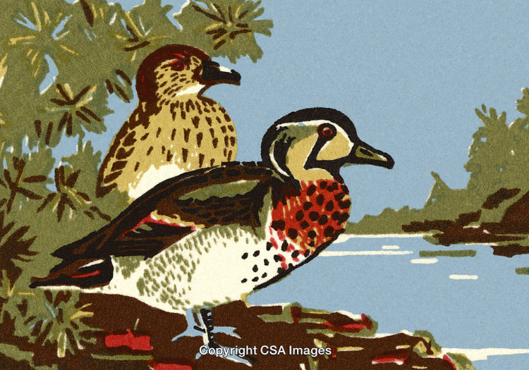 Colorful Illustration of Two Ducks by a Scenic Riverside with Trees