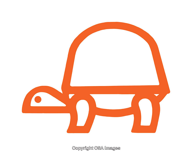 Minimal Orange Turtle Icon With Simple Modern Design