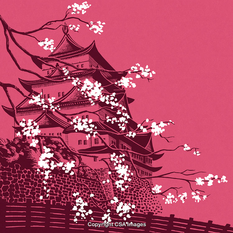 Traditional Japanese Pagoda with Cherry Blossoms on a Vibrant Pink Background