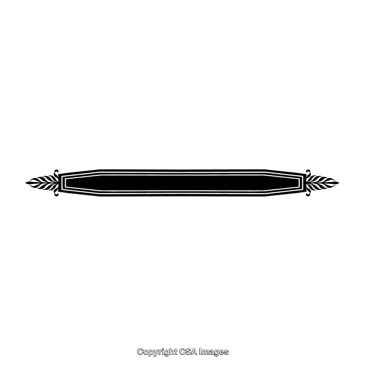 Elegant Black and White Border Design with Decorative Elements