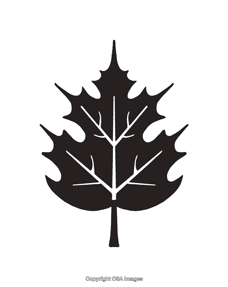 Abstract Black Leaf Illustration with Bold Geometric Lines