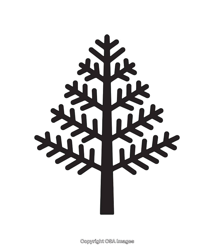 Black and White Minimalist Illustration of Stylized Evergreen Tree
