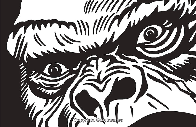 Bold Black and White Illustration of Fierce Gorilla Face Close-up