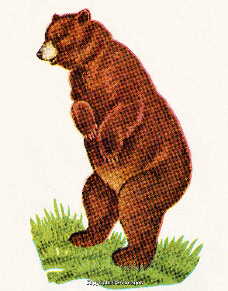 Illustrated Brown Bear Standing Upright on Green Grass in Nature