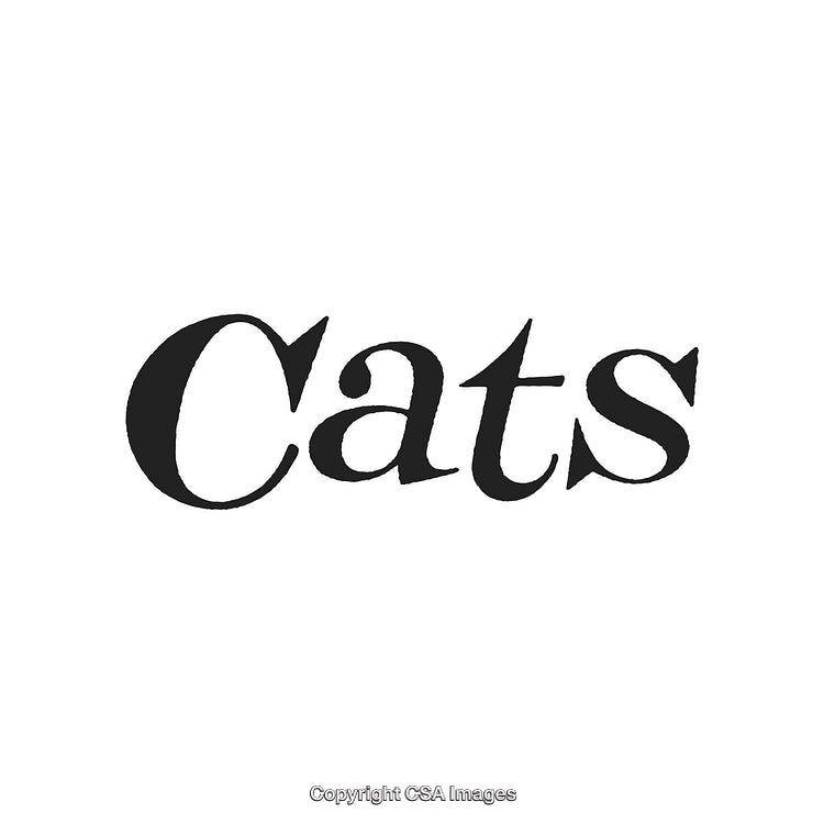 Stylized Black Text Design of the Word 'Cats' on White Background