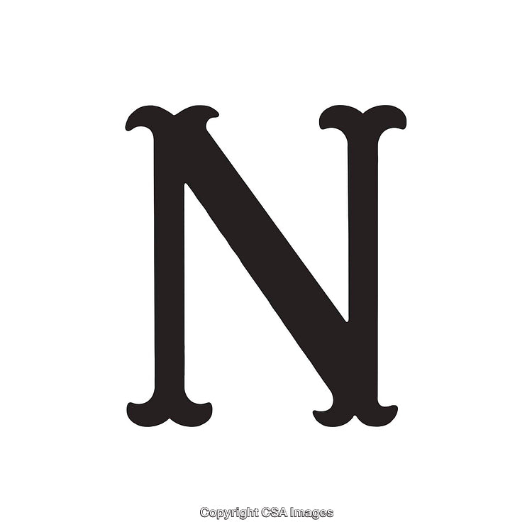 Elegant Depiction of the Letter N in Classic Serif Style Design