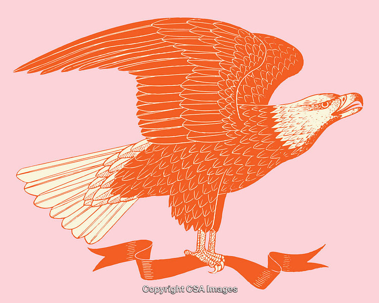 Illustrated Eagle Drawing With Ribbon on Bold Pink Background