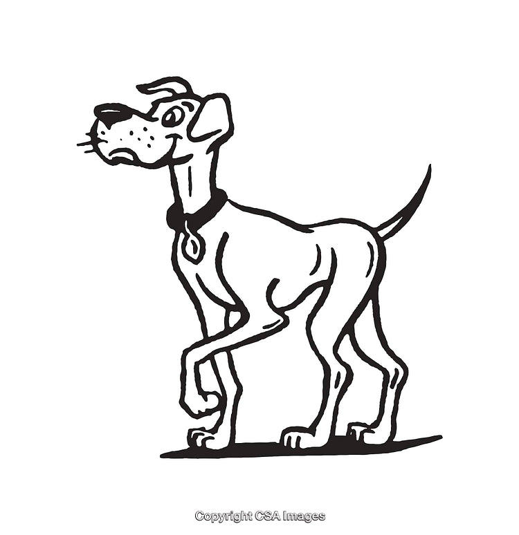 Black-and-White Line Art Illustration of a Dog Facing Forward