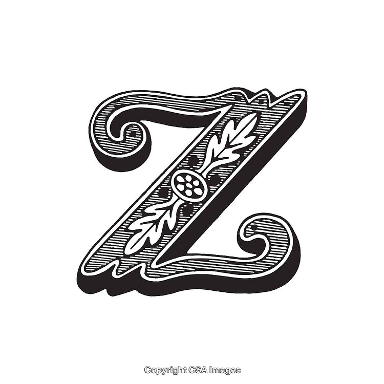 Vintage Black and White Decorative Letter Z with Ornamental Elements