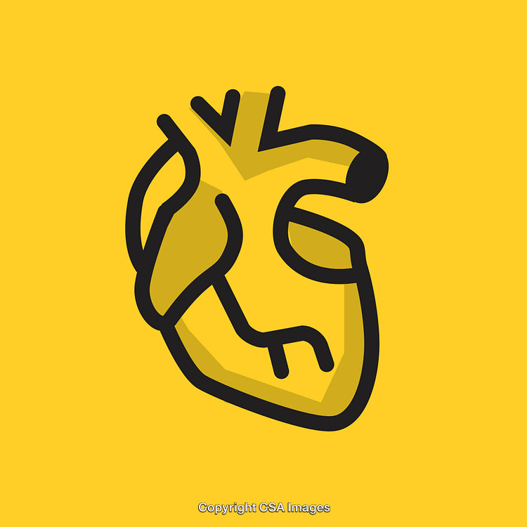 Stylized Yellow Anatomical Heart Illustration on a Solid Yellow Background
