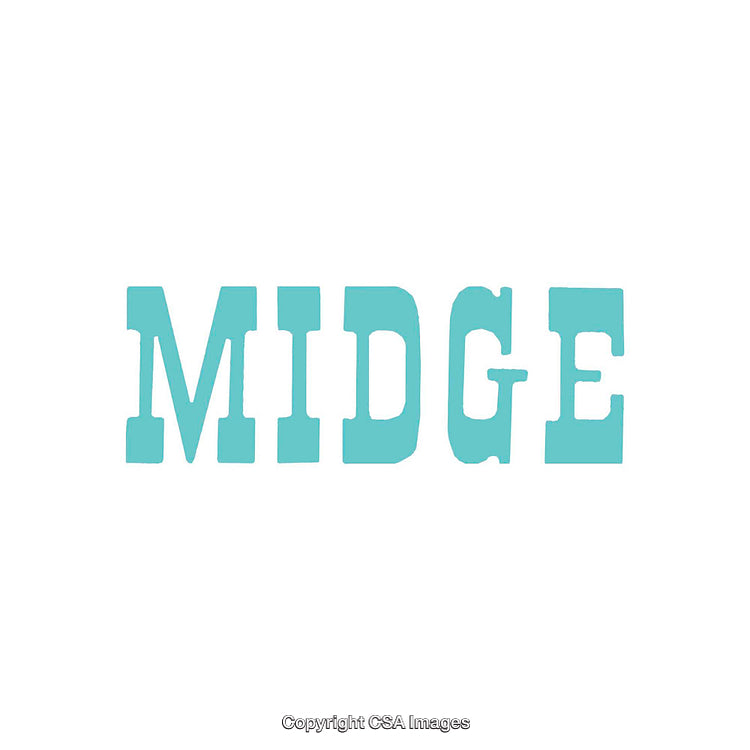Blue Typography Design Displaying the Word Midge on White Background