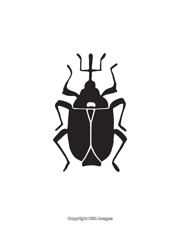 Black and White Insect Silhouette Icon for Design and Illustration