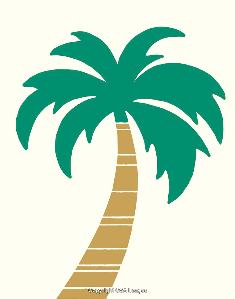 Illustration of a Vibrant Palm Tree with Green Leaves in Modern Line Art