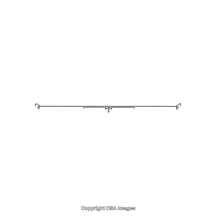 Elegant Black and White Decorative Ornament with Simple Minimalist Flourishes
