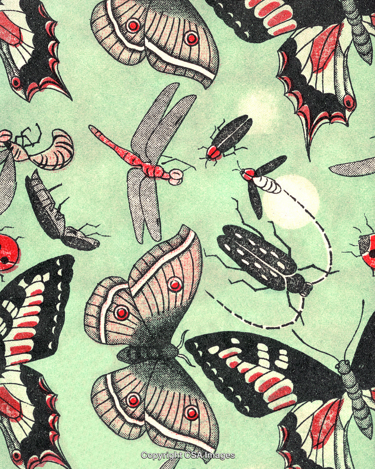 Insect Pattern