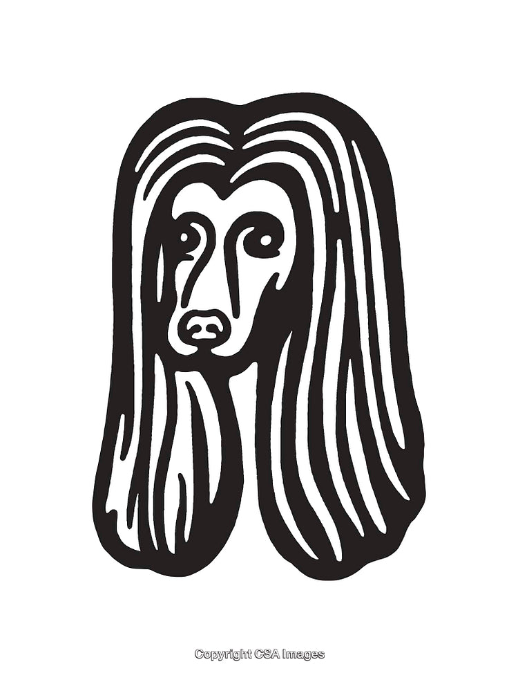 Monochrome Line Art Illustration of a Dog with Long Hair
