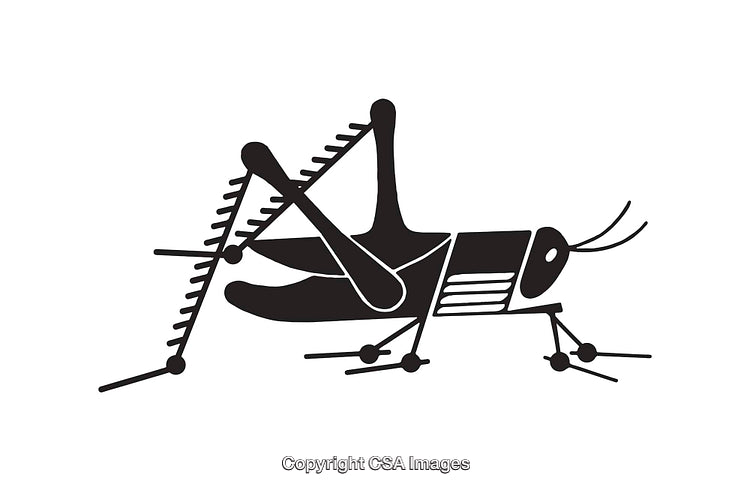 Black and White Line Art Illustration of a Grasshopper