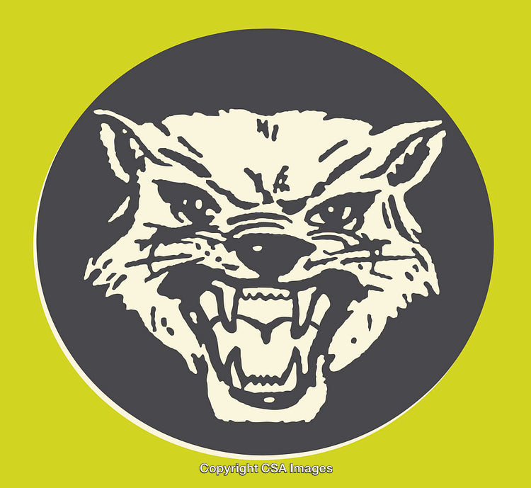 Illustration of a Fierce Wolf Face in Bold Graphic Art Style