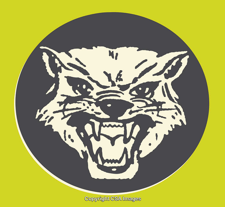Illustration of a Fierce Wolf Face in Bold Graphic Art Style