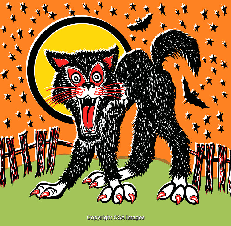 Halloween Scary Cat Illustration With Full Moon and Bats in Cartoon Style