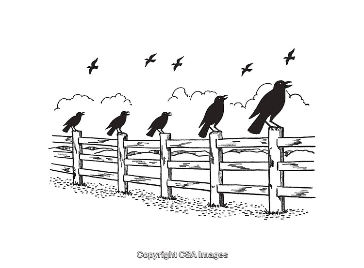 Black and White Illustration of Birds Perched on a Wooden Fence