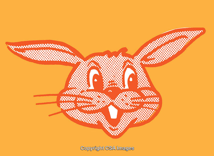 Playful Orange Rabbit Character Illustration with Whimsical Line Art