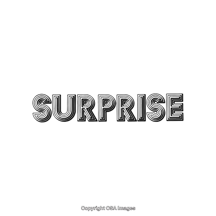Minimalistic Typography Artwork Featuring the Word Surprise in Stylish Black Letters