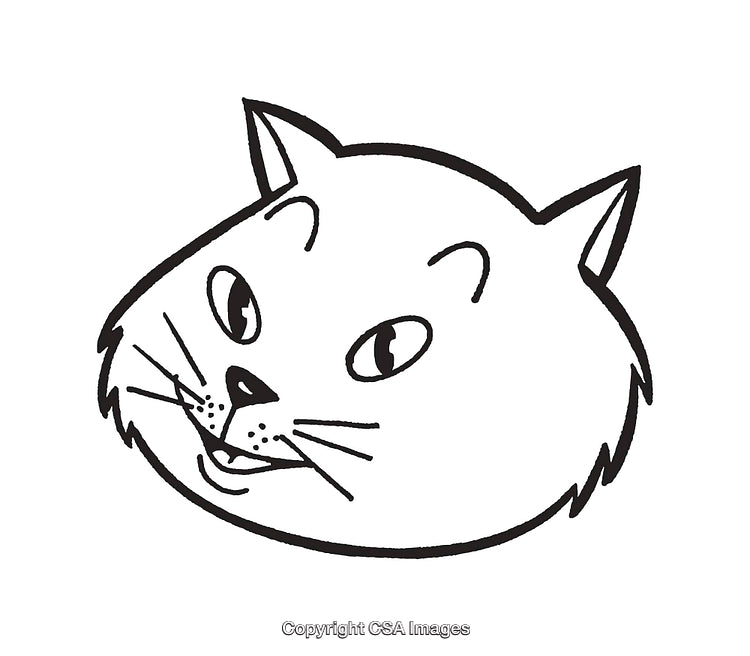 Black and White Line Art Illustration of a Cat's Expressive Face