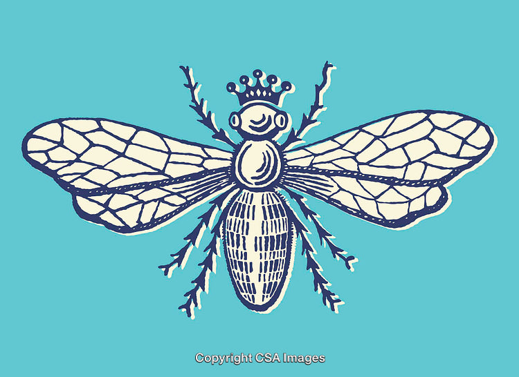 Intricate Line Art of a Crowned Insect Illustration on Blue Background