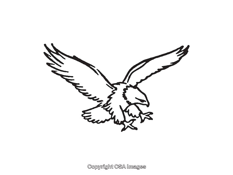 Black And White Line Art Illustration of a Soaring Eagle in Flight