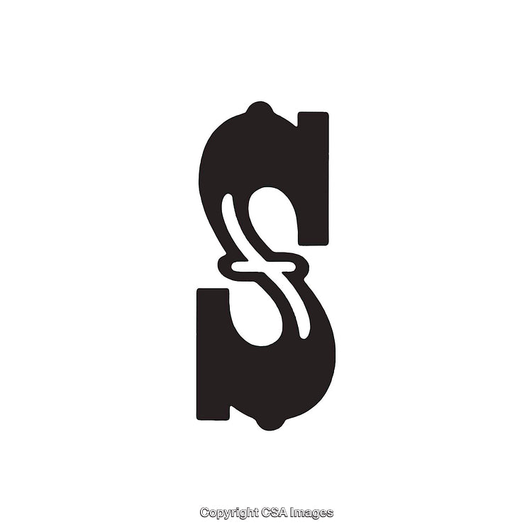 Stylized Monogram Design of the Letter S with Abstract Artistic Touch
