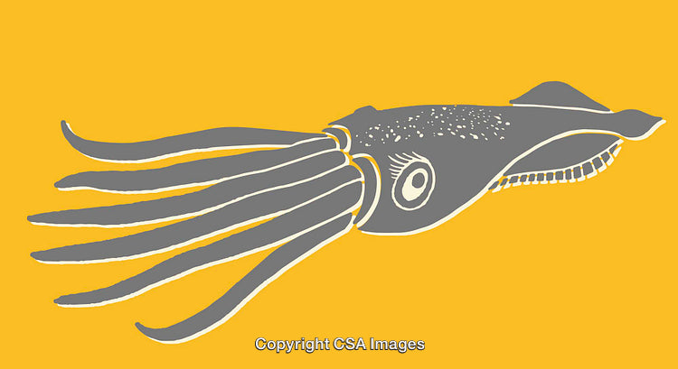 Stylized Illustration of a Squid in Yellow and Gray Color Scheme