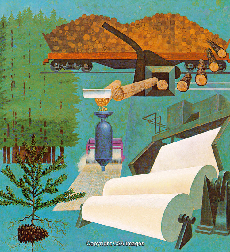 Forest Transformation Into Paper Through Logging and Industrial Processes in Artistic Style