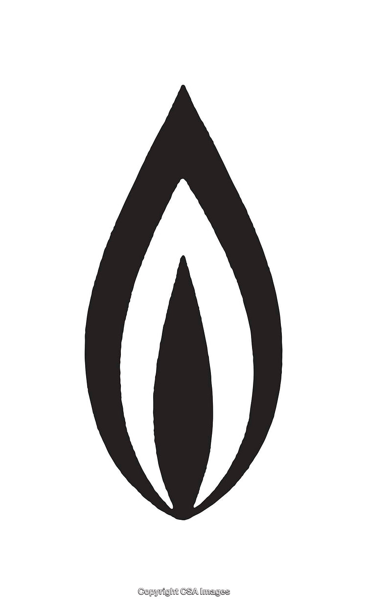 Minimalist Black and White Icon Representing Flame or Drop Shape
