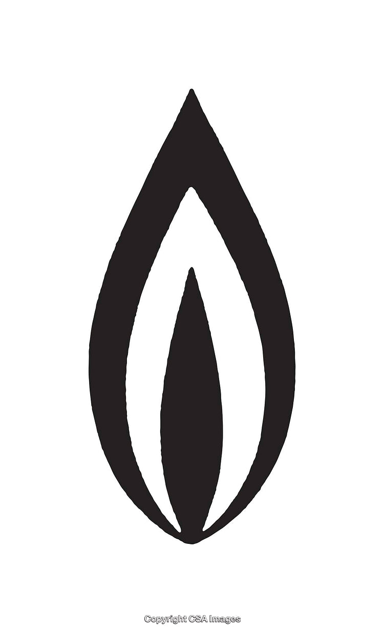 Minimalist Black and White Icon Representing Flame or Drop Shape