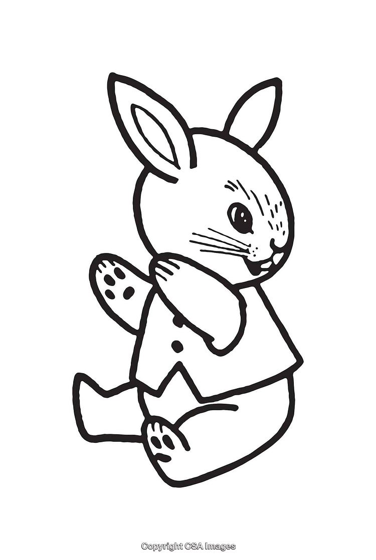 Charming Line Art Illustration of a Rabbit in Cozy Attire