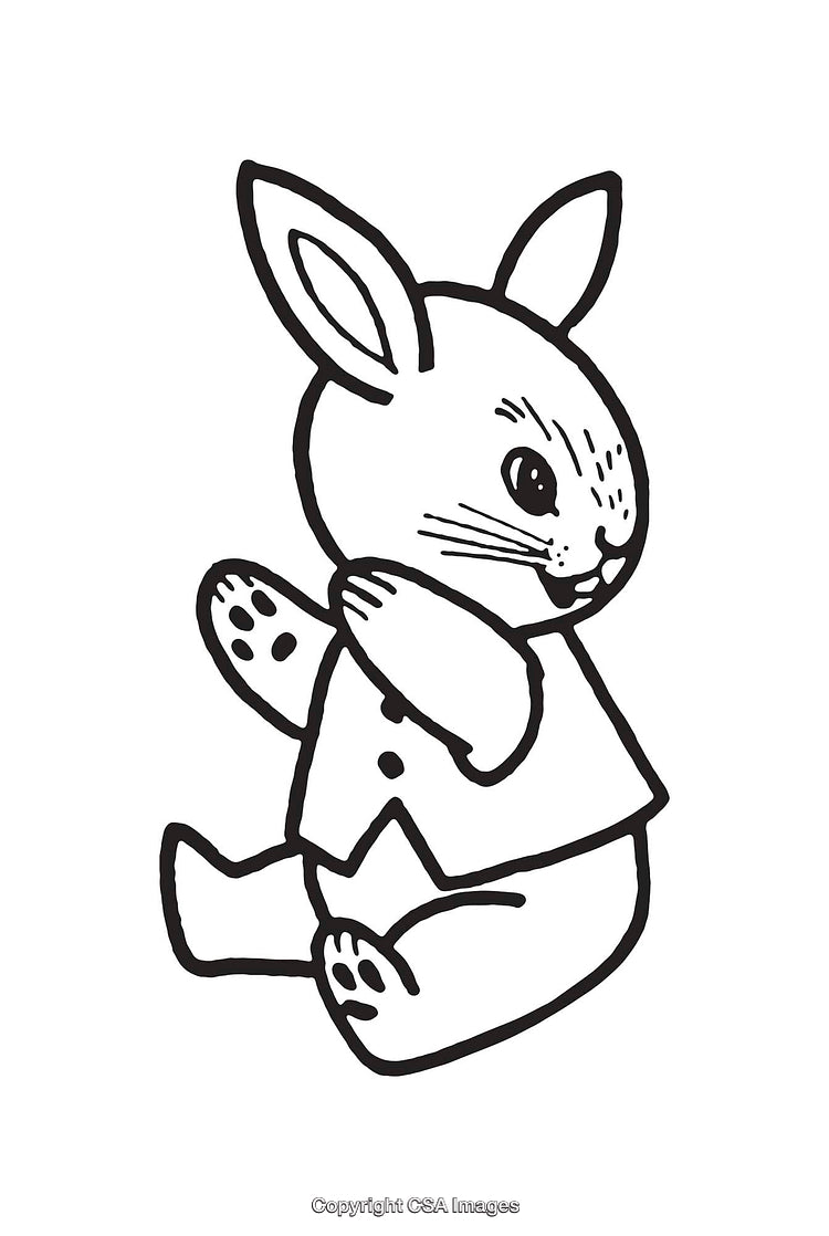 Charming Line Art Illustration of a Rabbit in Cozy Attire