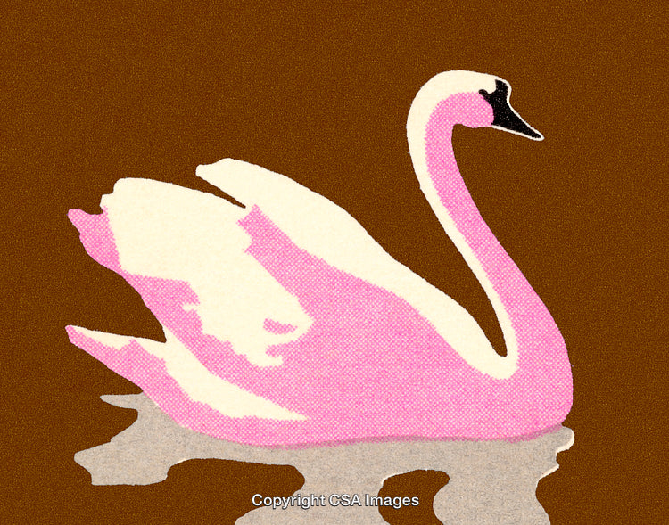 Pink Swan Illustration with Abstract Style and Textured Background